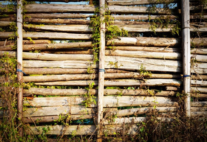 这个栅栏是由水平的树枝和凿成的垂直柱子组成的。
