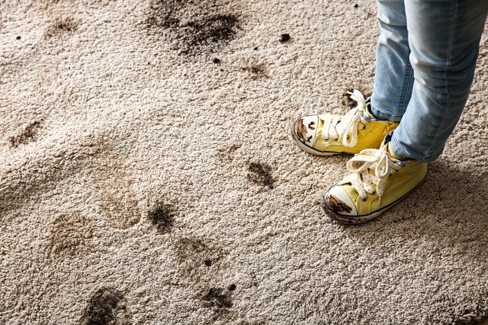 仔细看看有泥泞的鞋子的泥泞的地毯。