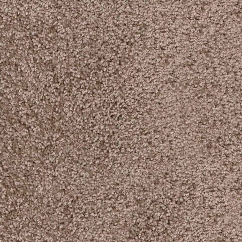 纹理地毯与高品质纤维和和一个几乎污渍的颜色。