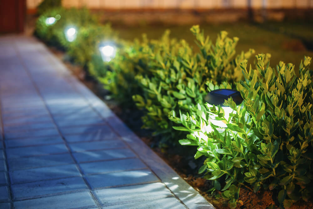 如果你想让你的固定装置保持低调，木桩灯是很好的选择。当放入小灌木时，灌木可以帮助隐藏固定装置。晚上，你的小灌木丛甚至会发光。
