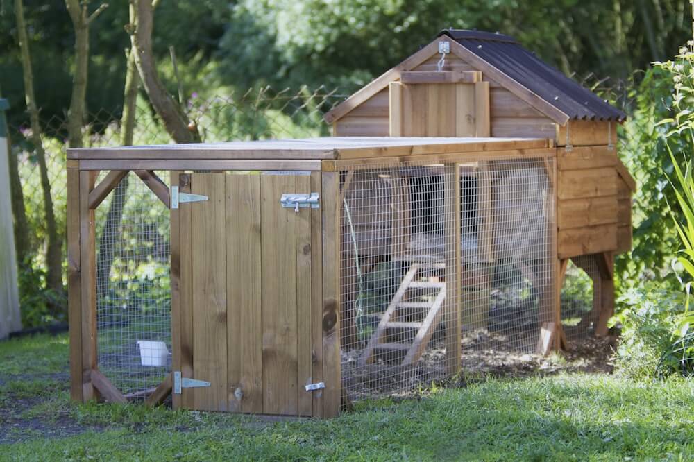 如果你喜欢有一个圈地饲养你的鸡，这可能是一个更好的选择你的后院。铁丝围栏把你的母鸡圈在一起，后面舒适的鸡舍为它们提供了一个很好的筑巢地点。