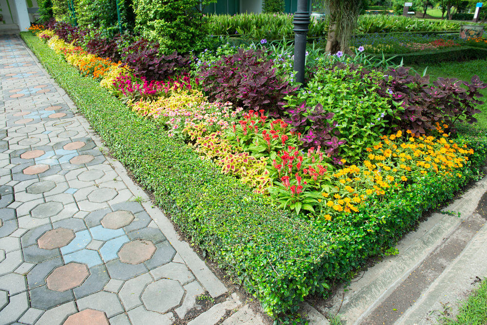 有颜色和设计的石头砖的角落，绿色植物和彩色植物，如玛雅和金盏花。